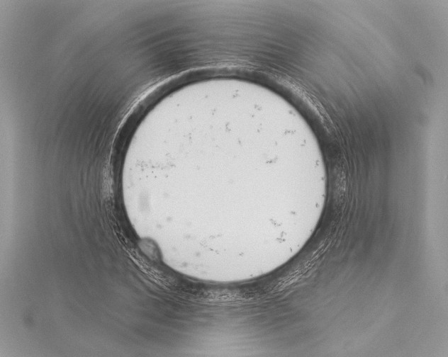 X0000115330927200911301524