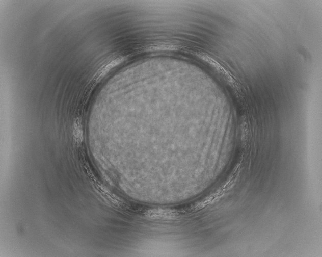 X0000115330929200911301524