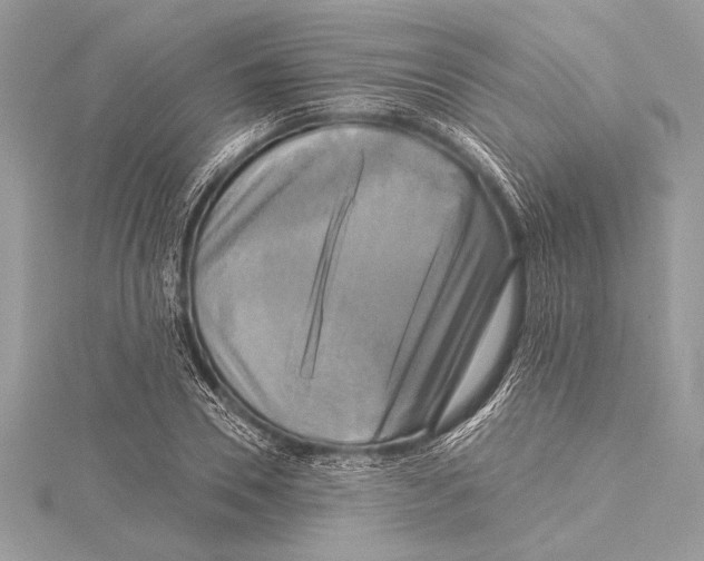 X0000115330930200911301524