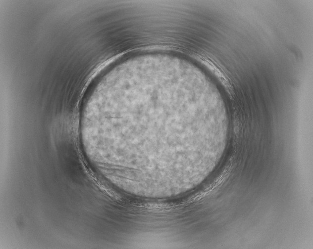 X0000115330933200911301524