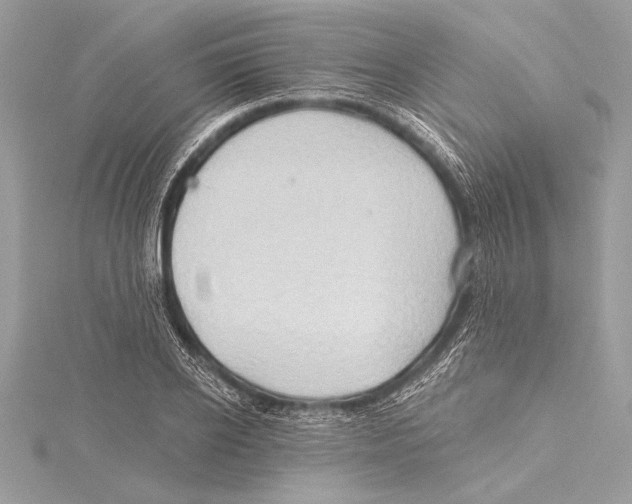 X0000115330934200911301524