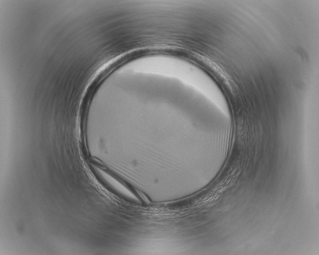 X0000115330935200911301524