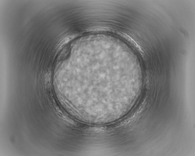 X0000115330937200911301524