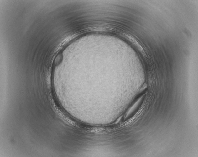 X0000115330938200911301524