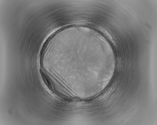 X0000115330939200911301524