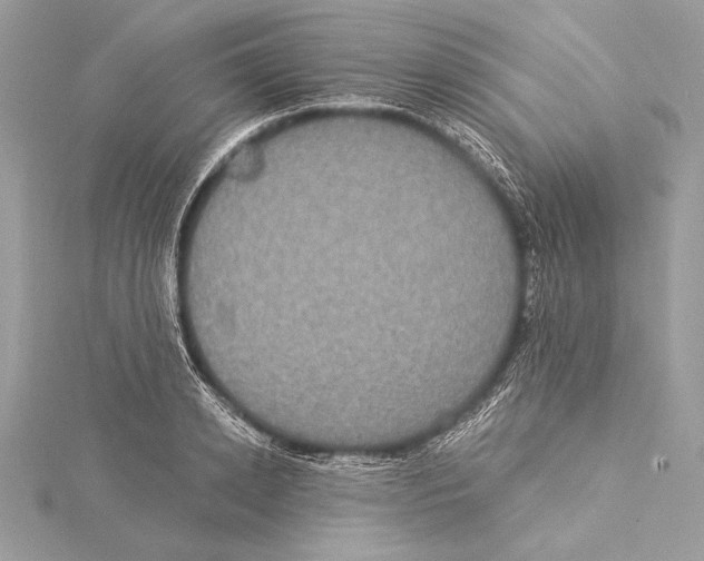 X0000115330942200911301525