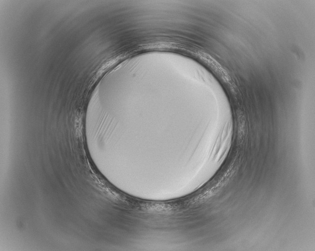 X0000115330945200911301525