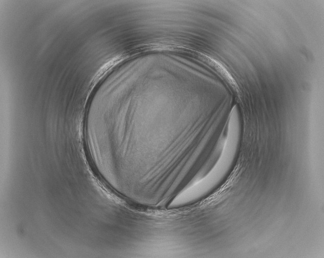 X0000115330946200911301525