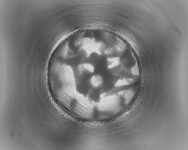 X0000115330949200911301525