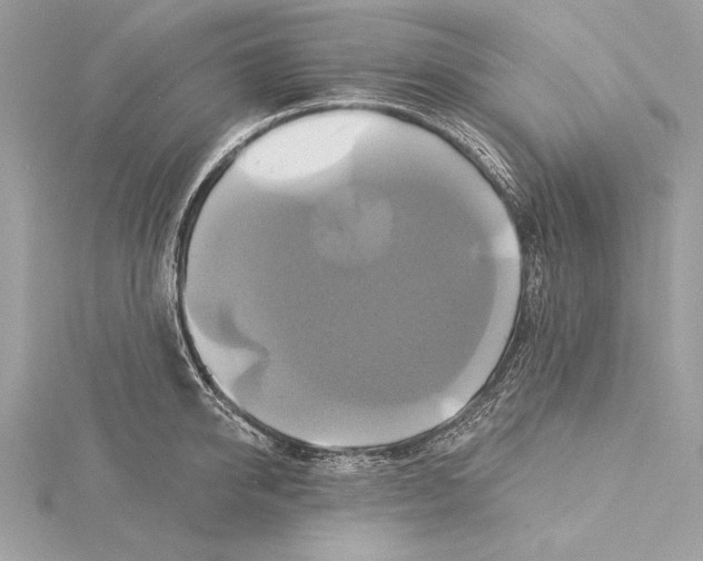 X0000115330950200911301525