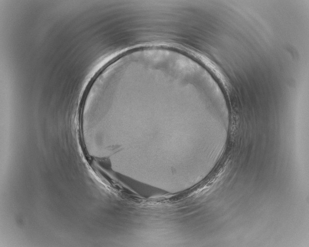 X0000115330951200911301525