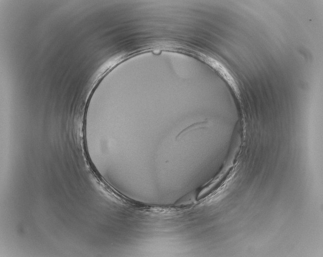 X0000115330954200911301525