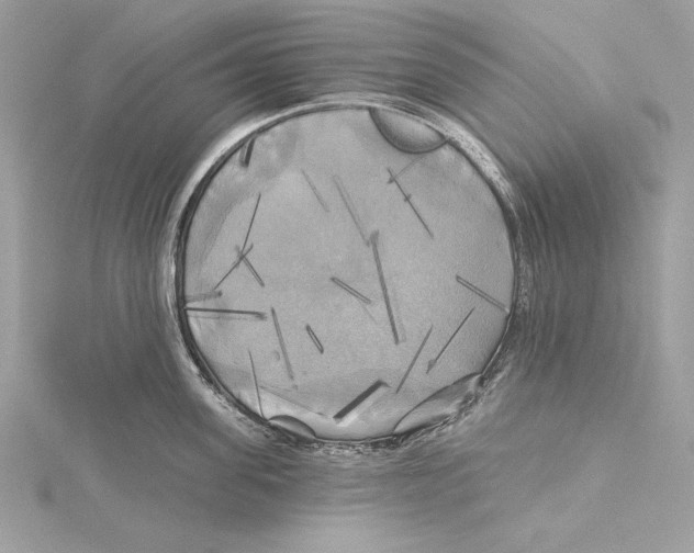 X0000115330955200911301525
