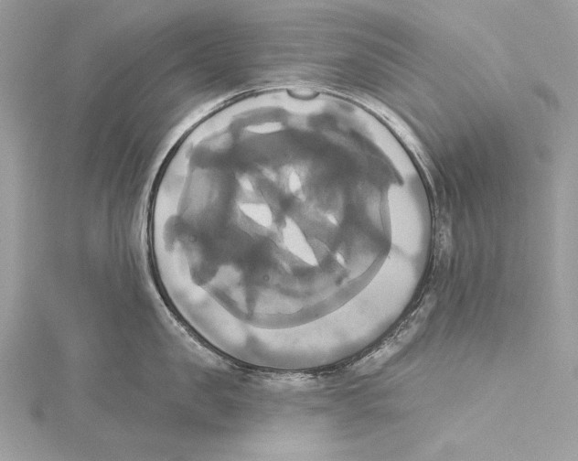 X0000115330957200911301525