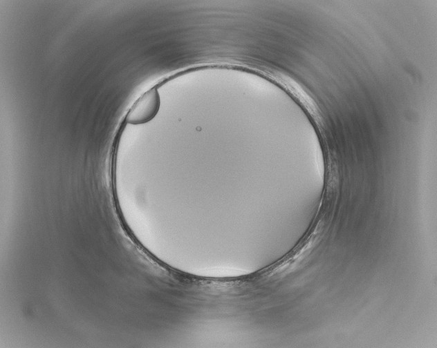 X0000115330958200911301525