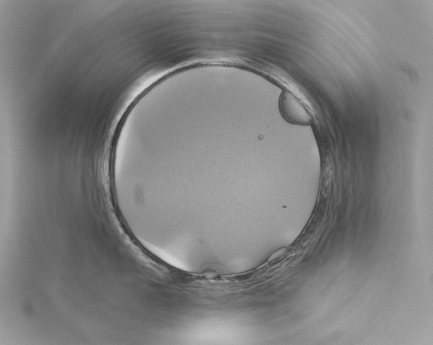 X0000115330959200911301525