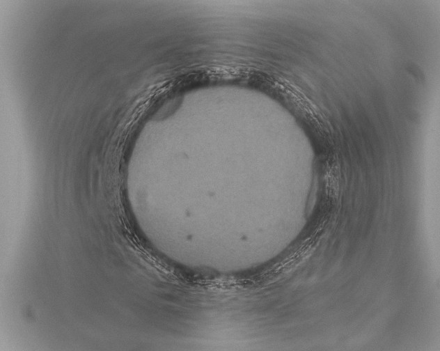 X0000115330961200911301524