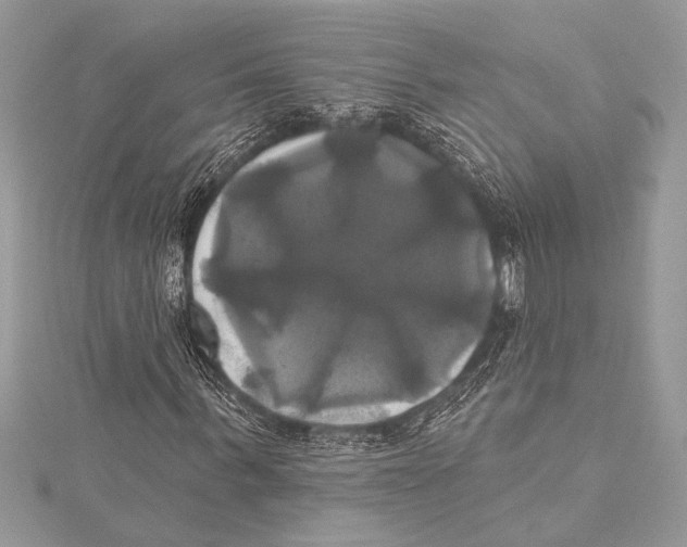 X0000115330963200911301524