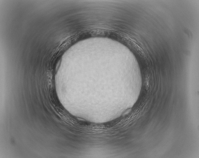 X0000115330964200911301524