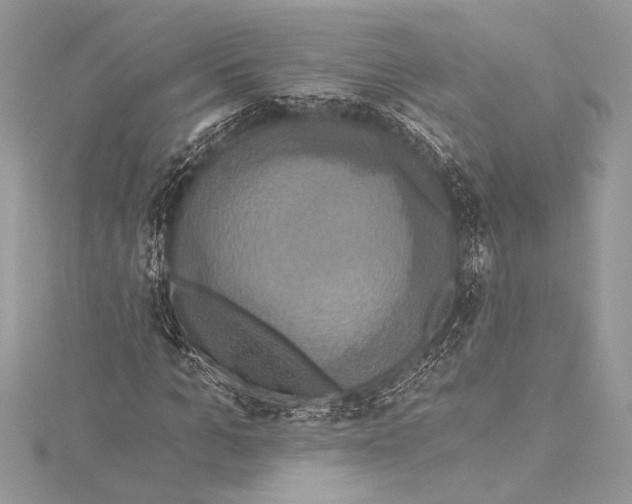 X0000115330965200911301524