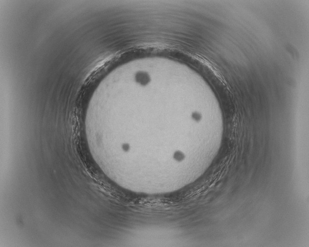 X0000115330967200911301524