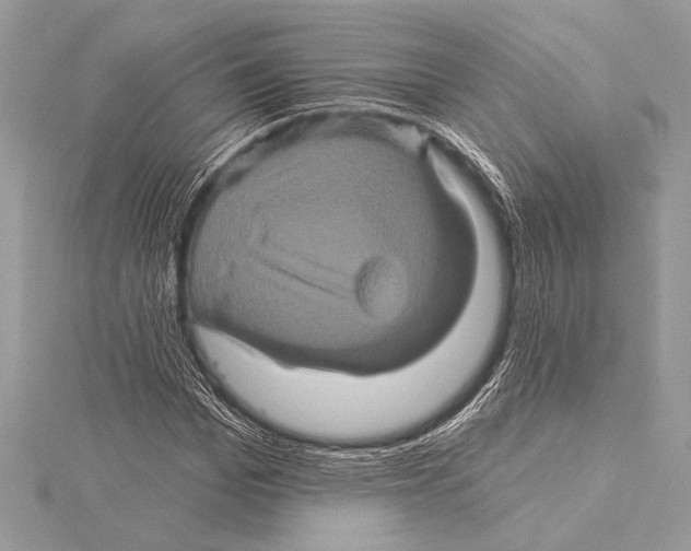 X0000115330969200911301524