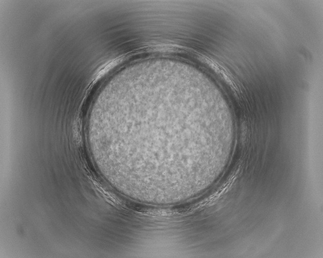 X0000115330970200911301524