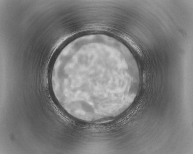 X0000115330972200911301524