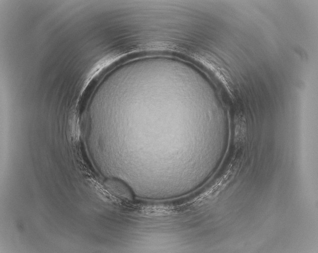 X0000115330973200911301524