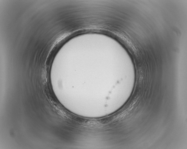 X0000115330974200911301524