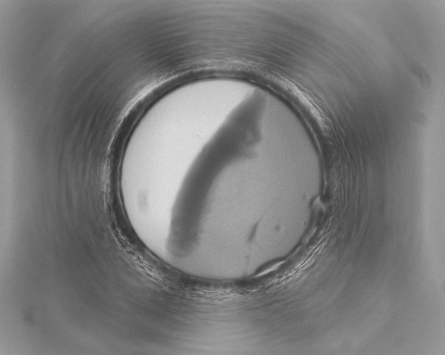 X0000115330975200911301524