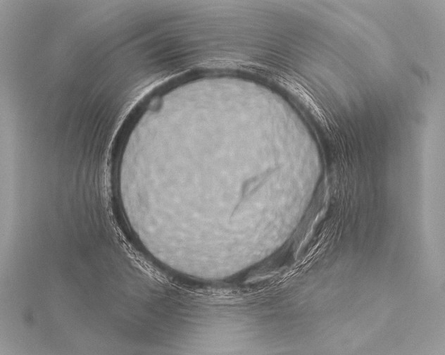 X0000115330976200911301524