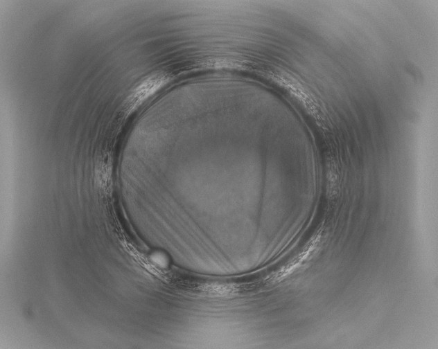 X0000115330977200911301524