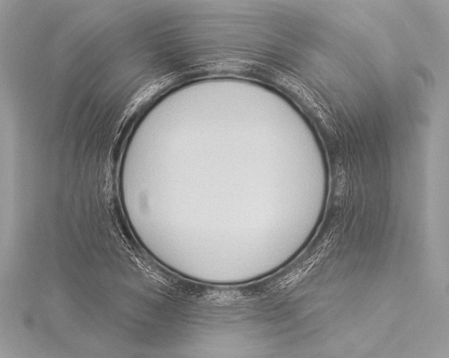 X0000115330978200911301524