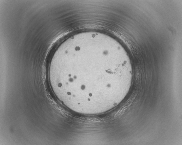 X0000115330979200911301524