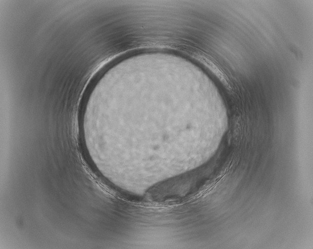 X0000115330980200911301524