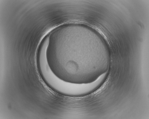 X0000115330981200911301524