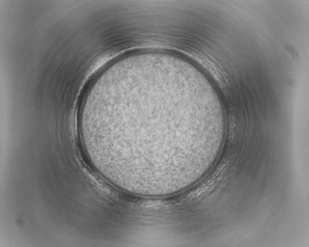 X0000115330982200911301524