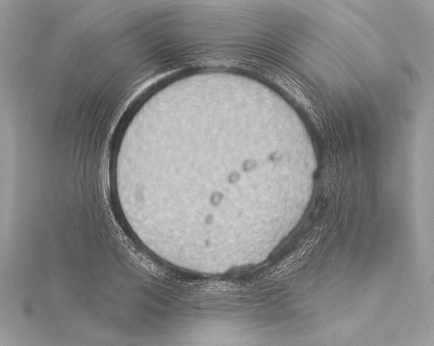 X0000115330984200911301524