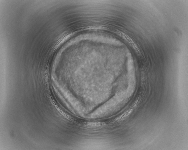 X0000115330985200911301524