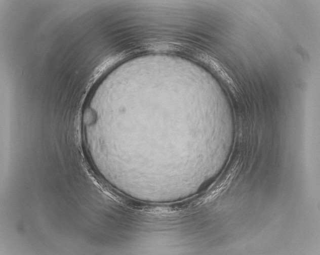 X0000115330986200911301524