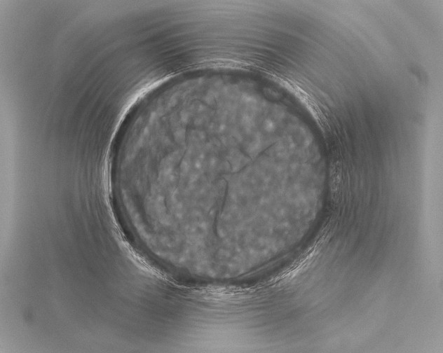 X0000115330987200911301524