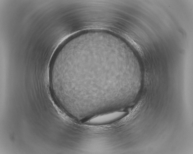 X0000115330988200911301524