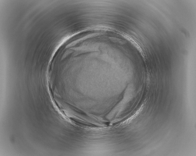 X0000115330989200911301524