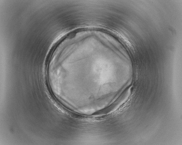 X0000115330990200911301524