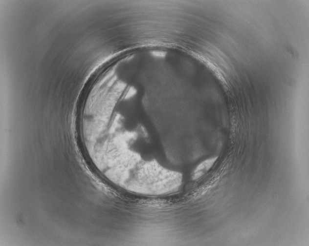 X0000115330991200911301524