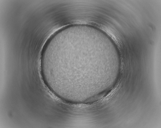 X0000115330992200911301524