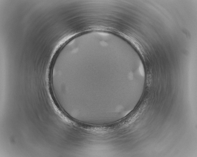 X0000115330995200911301524