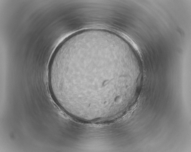 X0000115330996200911301524