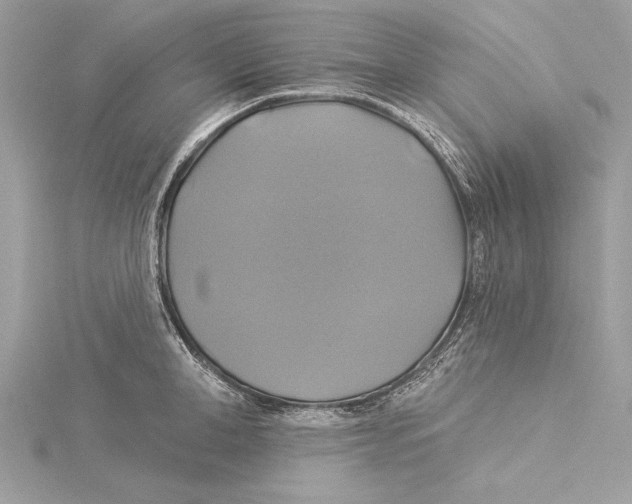 X0000115330998200911301524